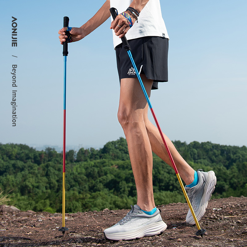 2 bastoni da trekking pieghevo - Trekking Pole Carbon recensione e prezzo