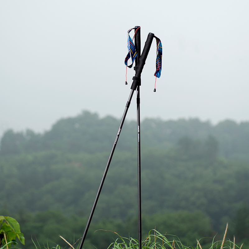 2 bastoni da trekking pieghevo - Trekking Pole Carbon recensione e prezzo